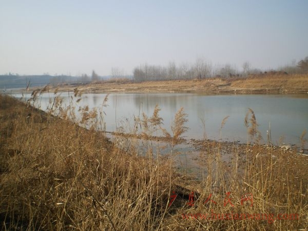 P2010010.JPG