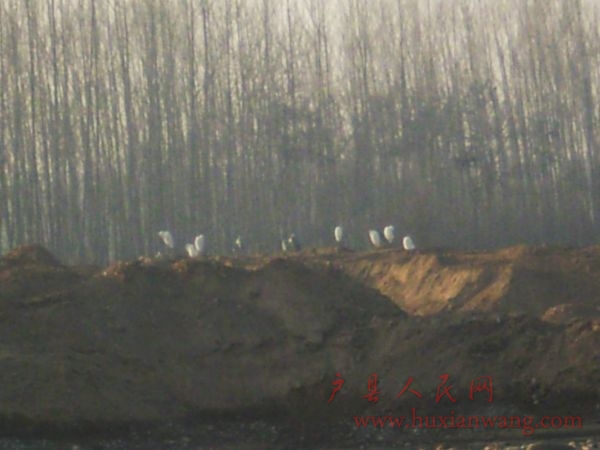 P2010046.JPG