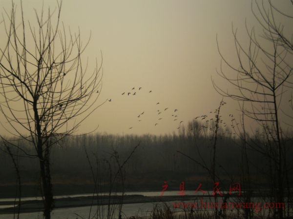 P2010073.JPG