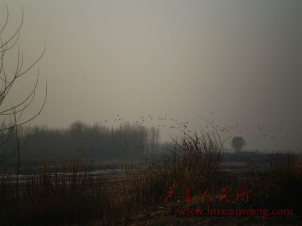 P2010076.JPG