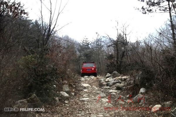 20110208_d6041a3f292c7a773683gPpgee1ehgIp.jpg