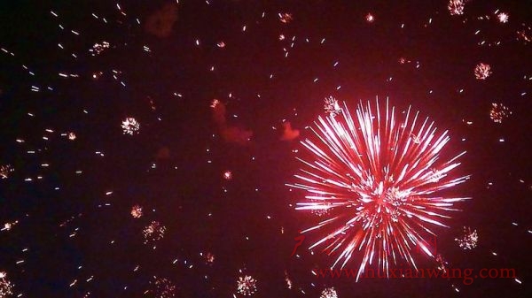 20110218048.jpg
