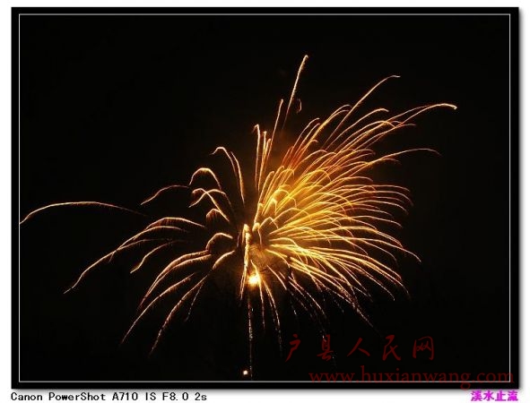 IMG_1229.jpg