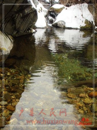 DSC06225.jpg