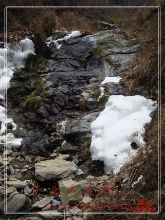DSC06240.jpg