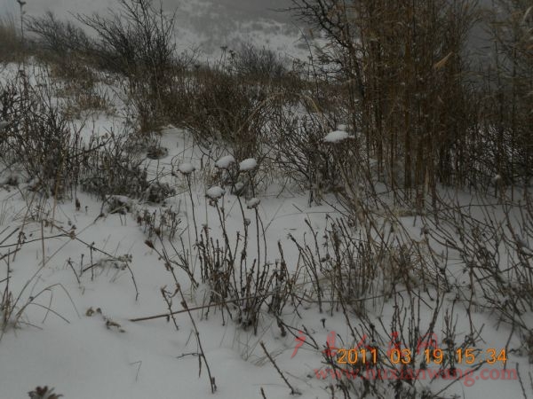 3.19ˮ 107.jpg