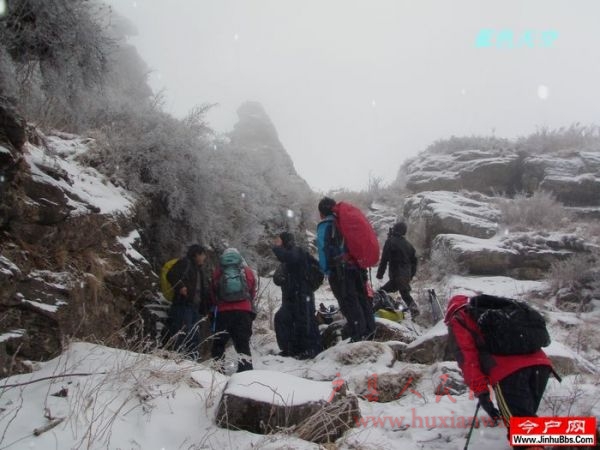 162916ilqoh0ic2nh0qivc[1].jpg