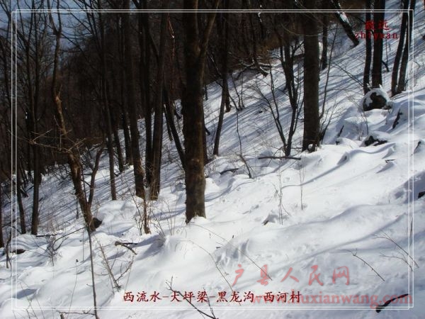 DSC06885.jpg