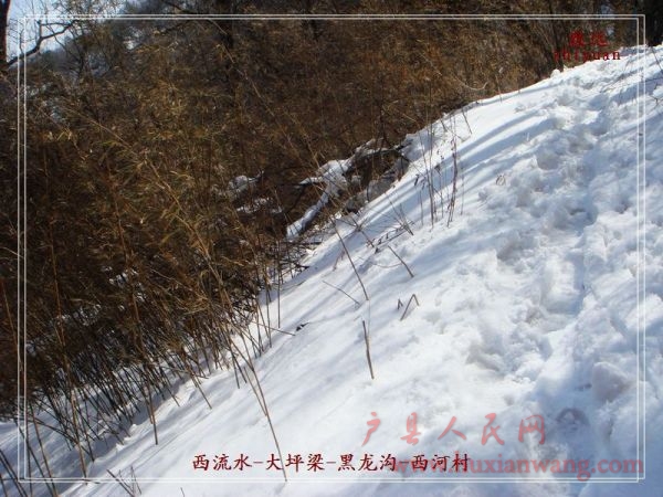 DSC06891.jpg