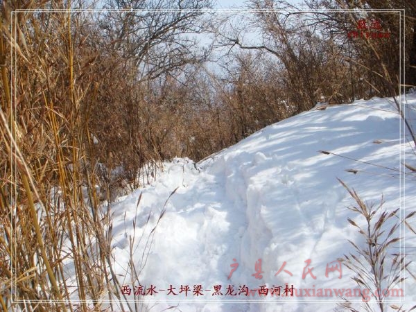 DSC06904.jpg