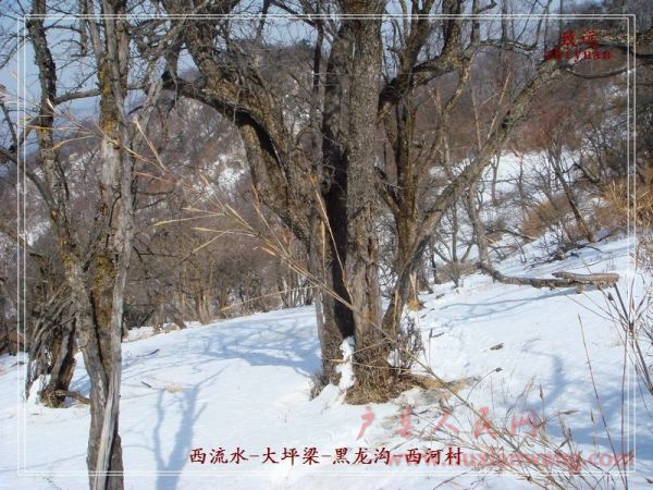 DSC06955.jpg