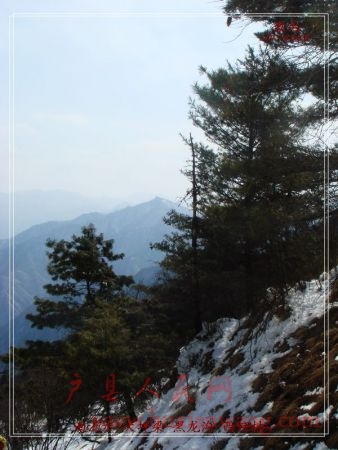 DSC06979.jpg