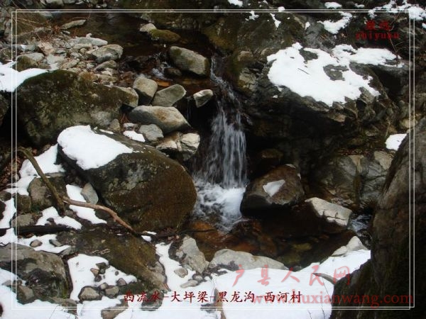 DSC06996.jpg