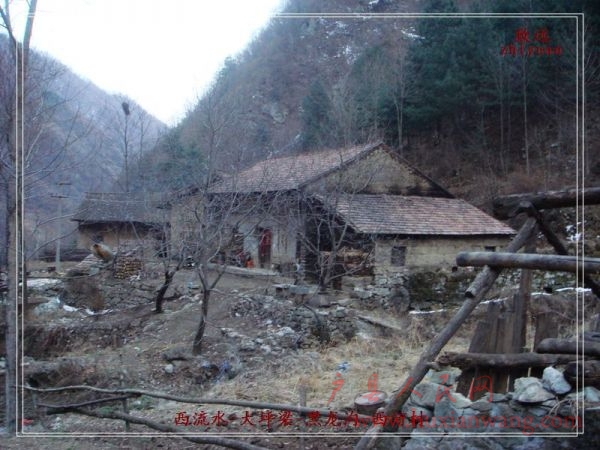DSC07035.jpg