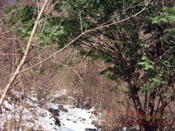 Ƭ 038.jpg