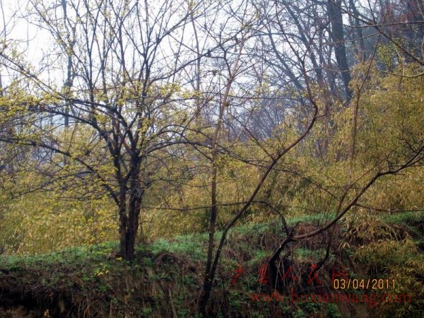 Ƭ 023.jpg