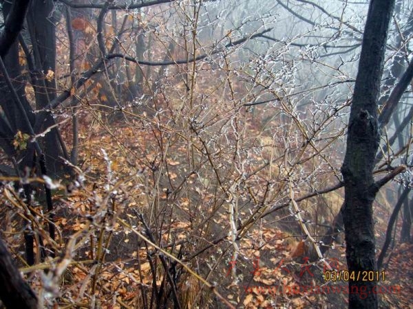 Ƭ 068.jpg