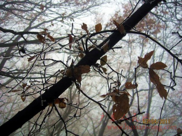 Ƭ 083.jpg