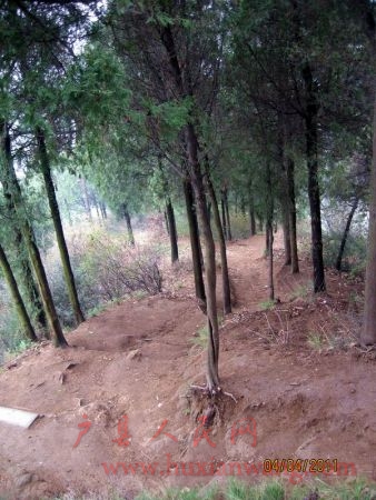 Ƭ 026.jpg