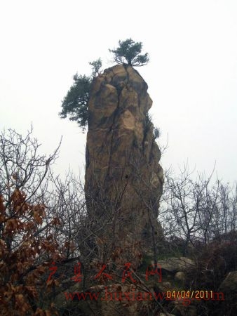 Ƭ 154.jpg