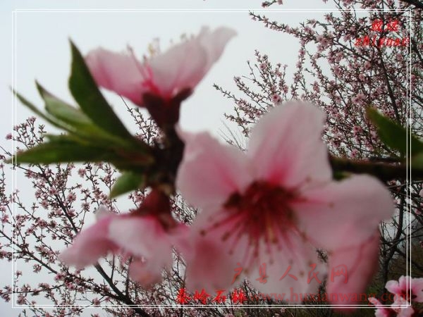 DSC07398.jpg