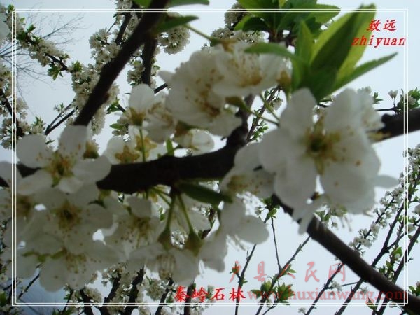 DSC07406.jpg