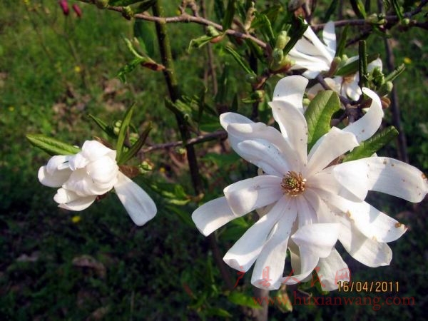 Ƭ 038.jpg