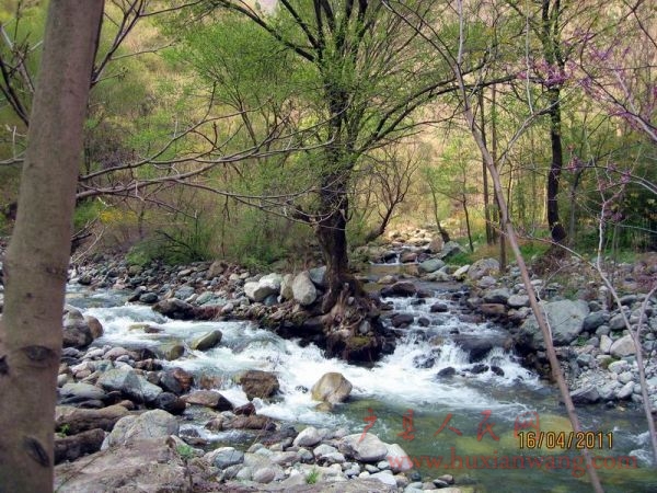 Ƭ 065.jpg