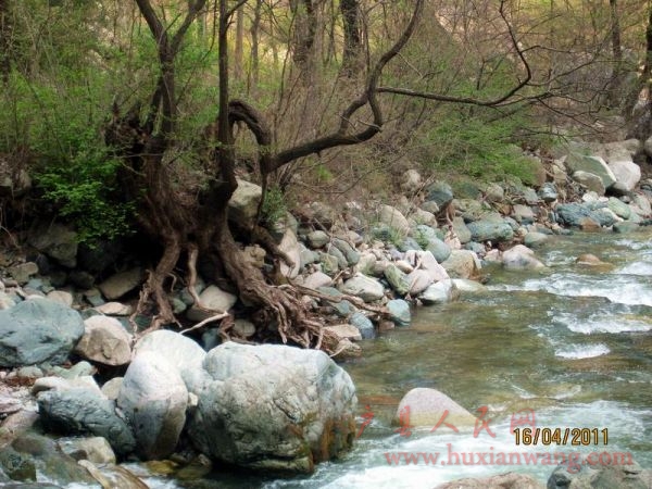 Ƭ 074.jpg