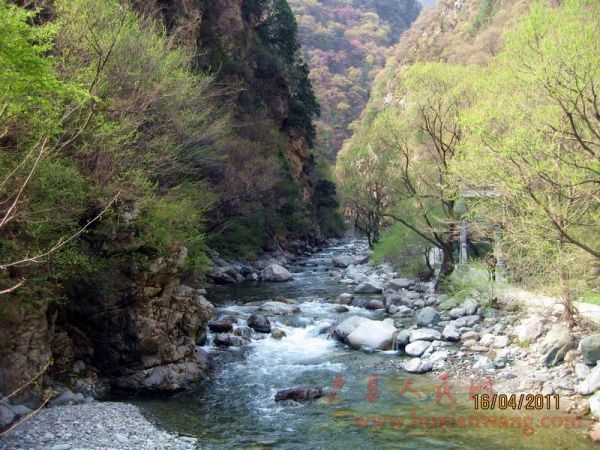 Ƭ 081.jpg