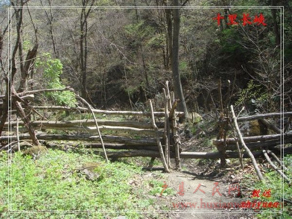 DSC08254.jpg