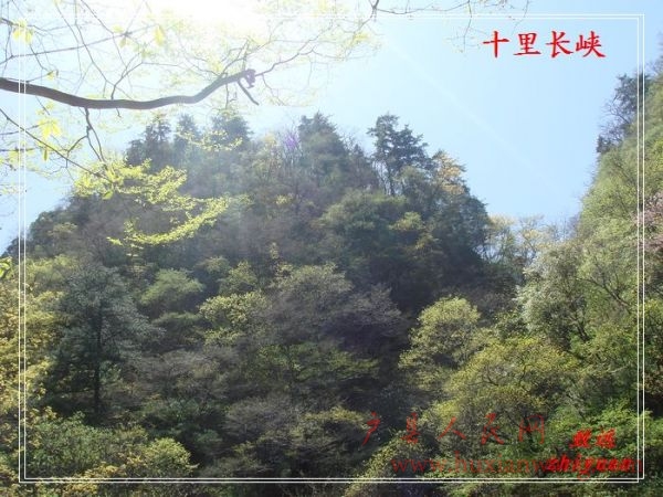DSC08353.jpg