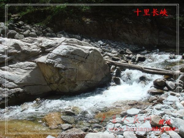DSC08365.jpg