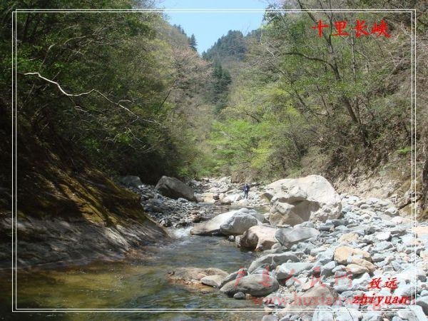 DSC08371.jpg