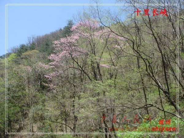 DSC08382.jpg