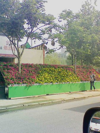 Ƭ 011.jpg