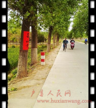 IMG0501120100.jpg