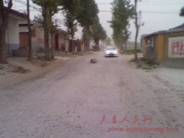 2011-04-29 19.16.24.jpg
