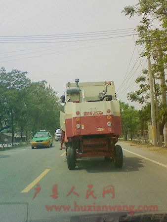 Ƭ 029.jpg