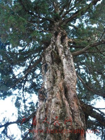 IMG_5651_nEO_IMG.jpg