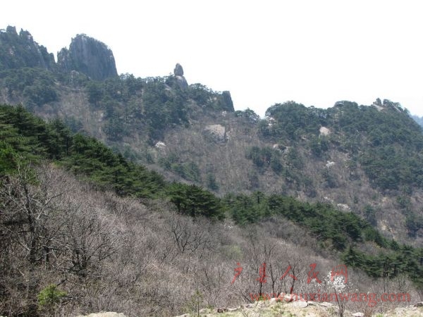IMG_5366_nEO_IMG.jpg