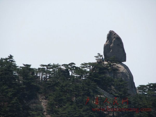 IMG_5374_nEO_IMG.jpg