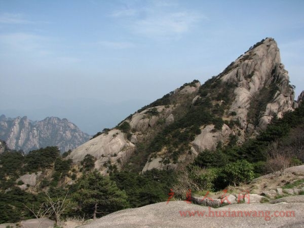 IMG_5419_nEO_IMG.jpg