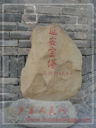 DSC09386.jpg