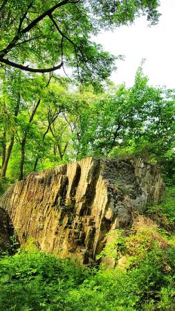 nEO_IMG_2011.5- 007.jpg
