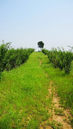 nEO_IMG_2011.5- 046.jpg