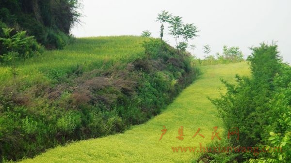 DSC04185.jpg