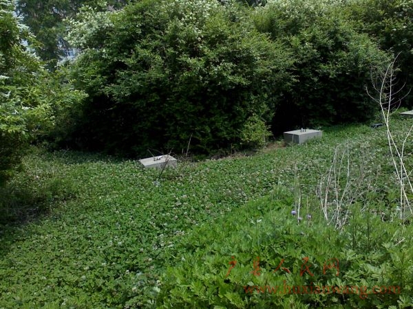 Ƭ 005.jpg