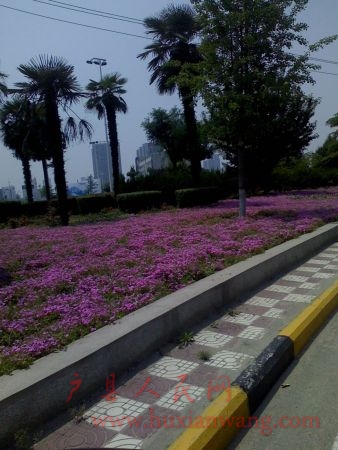 Ƭ 008.jpg