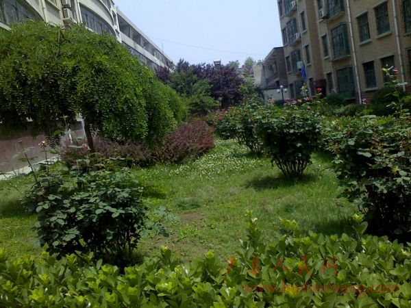 Ƭ 010.jpg